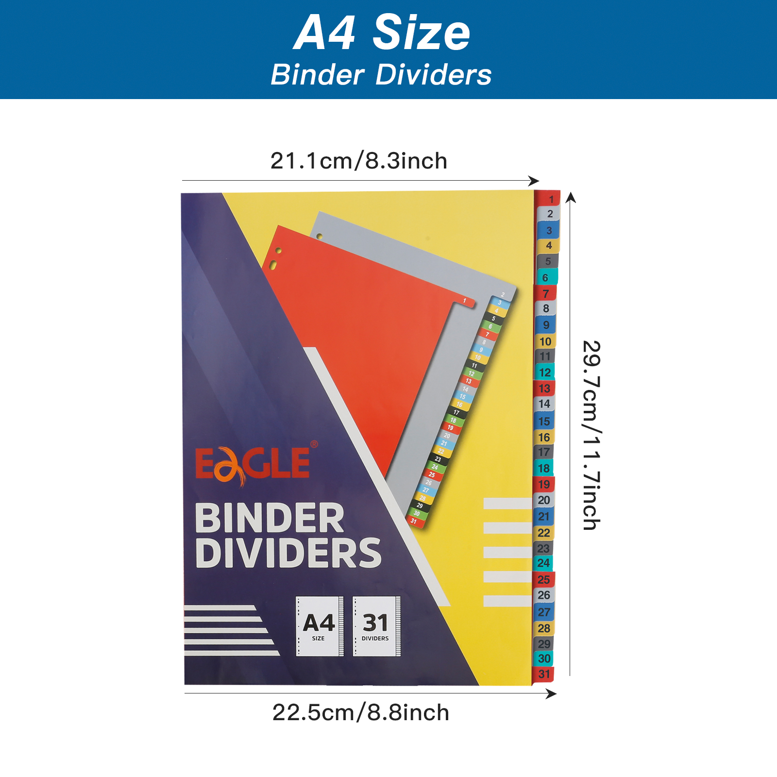 EAGLE A4 Binder Index Divider  - Tab Divider A4 리뷰 및 가격