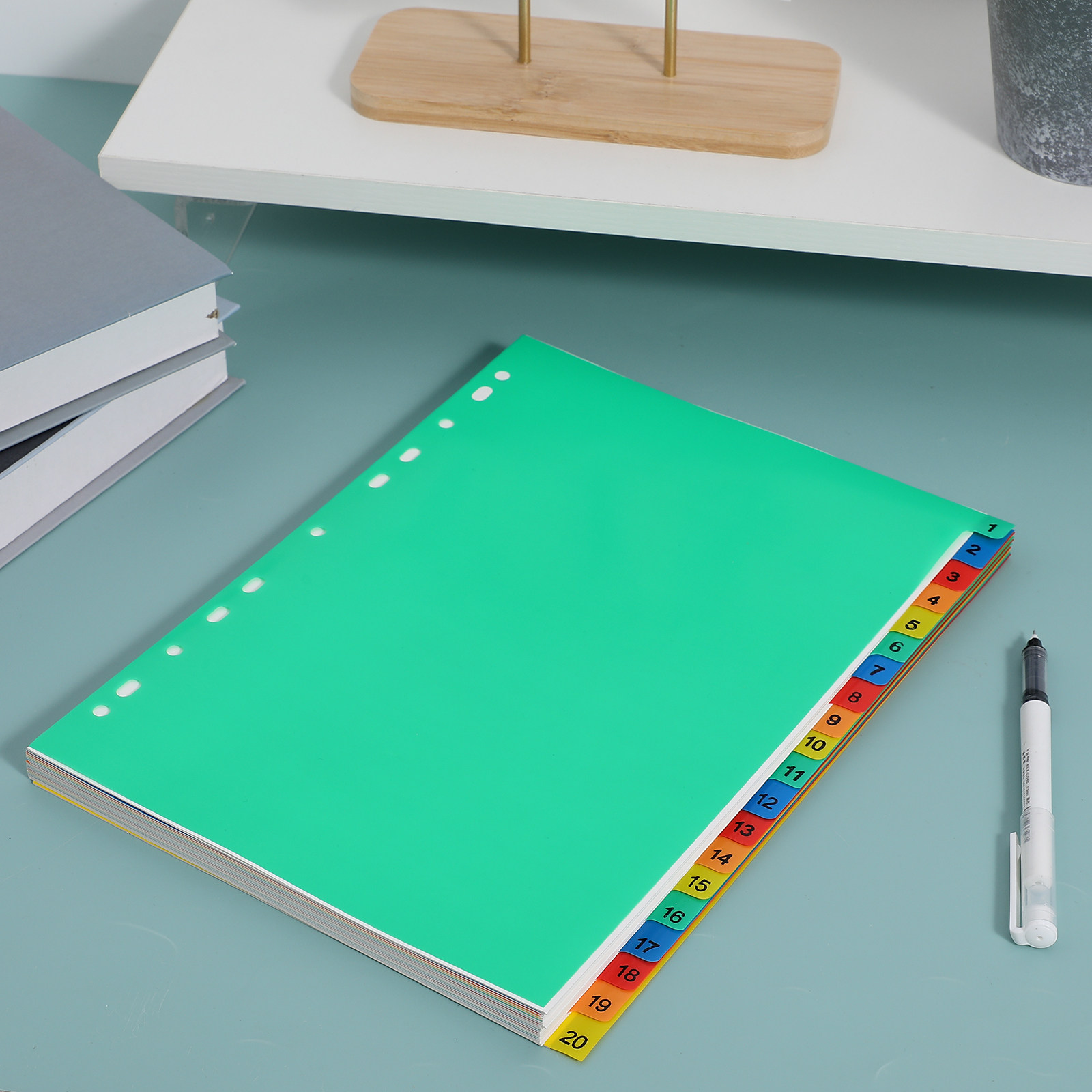 20 Pages A4 Multi Color Plasti - Tab Divider A4 리뷰 및 가격