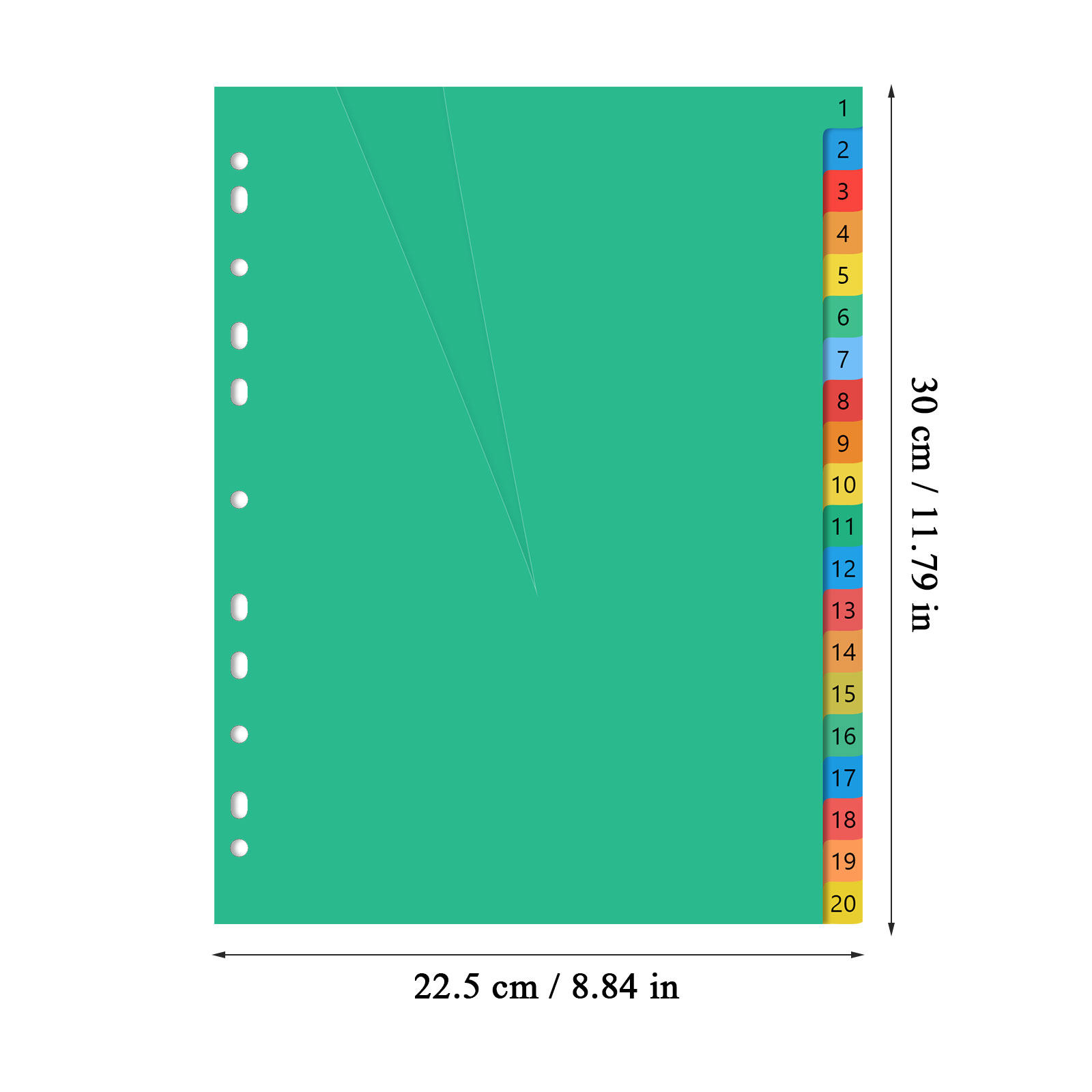 20 Pages A4 Multi Color Plasti - Tab Divider A4 리뷰 및 가격
