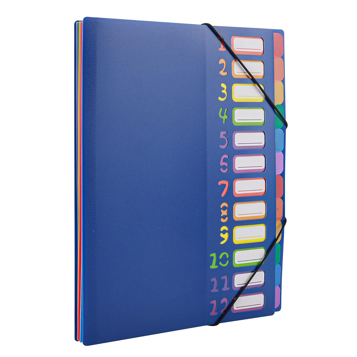 A4 Size Rainbow Tab Expanding  - Tab Divider A4 리뷰 및 가격