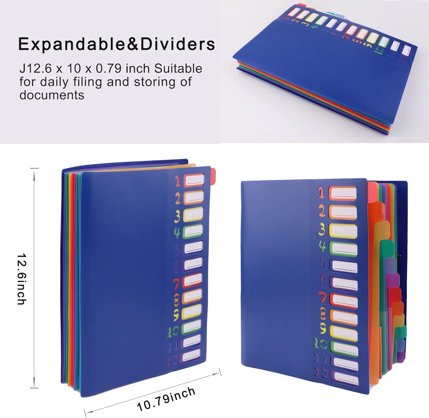 A4 Size Rainbow Tab Expanding  - Tab Divider A4 리뷰 및 가격